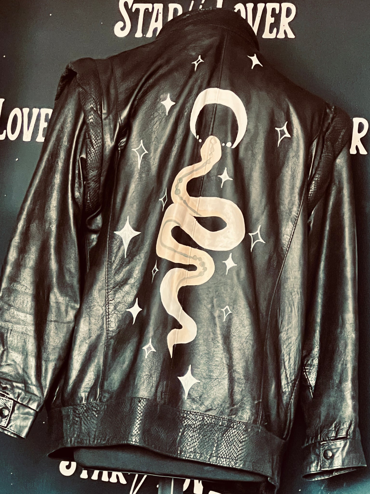 Hand painted vintage snake jacket